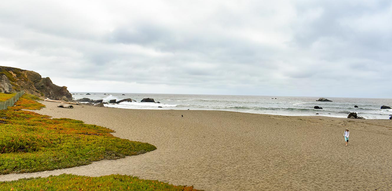 Scotty Creek Beach