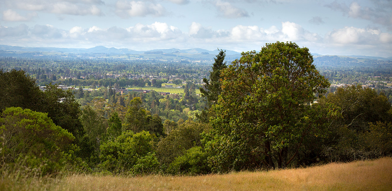  Shiloh Ranch Regional Park