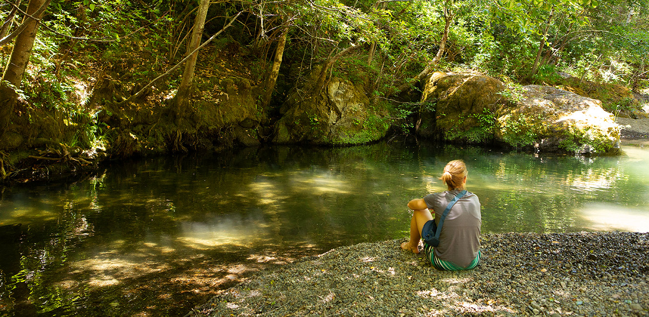 Creek at Soda Springs Reserve