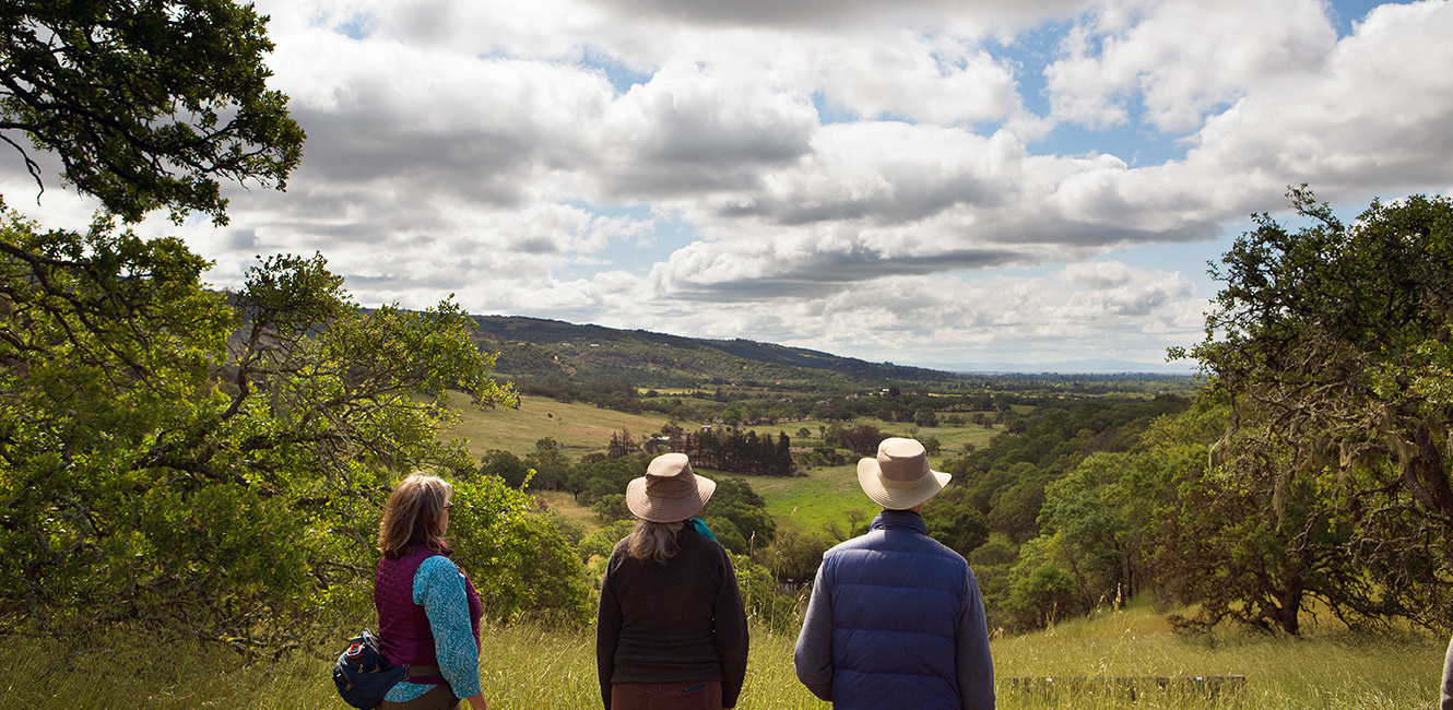 Sonoma Valley Regional Park