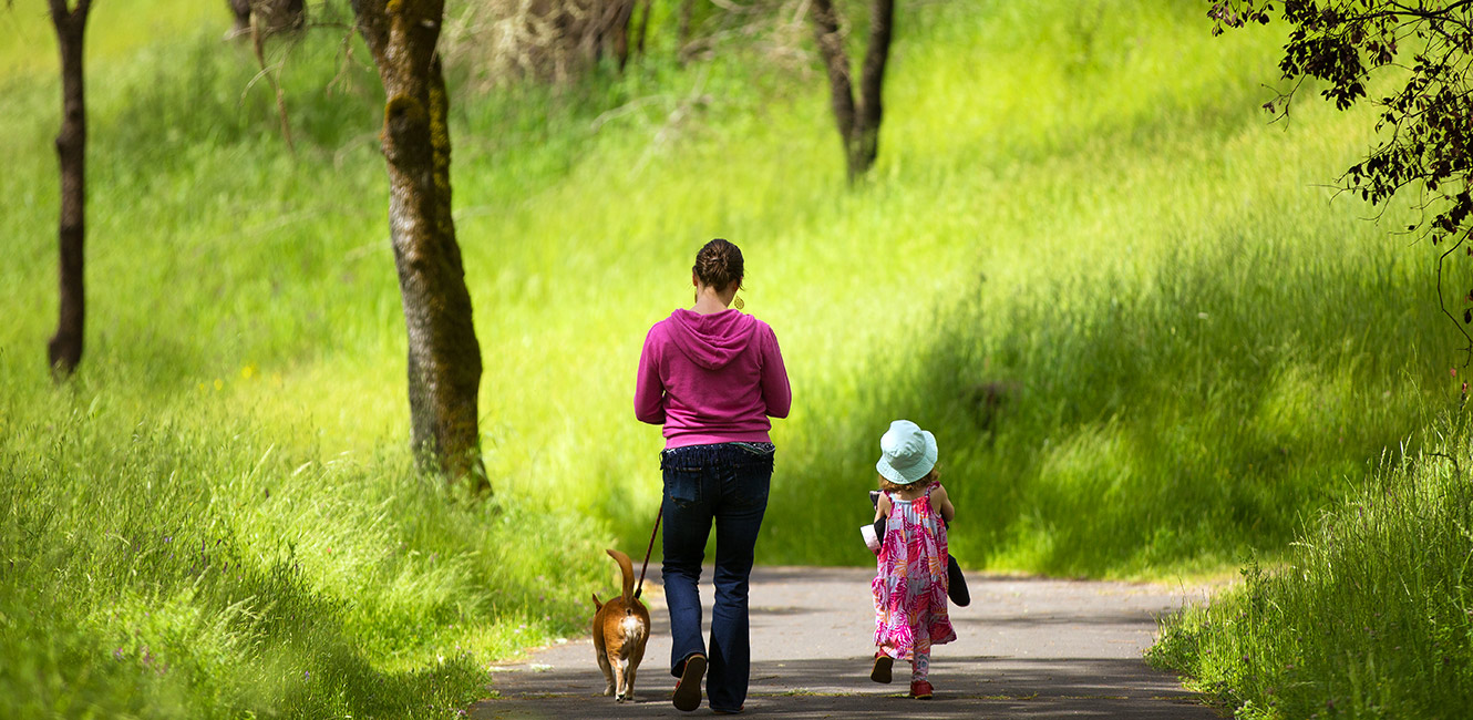 Walking path at Sonoma Valley Regional Park