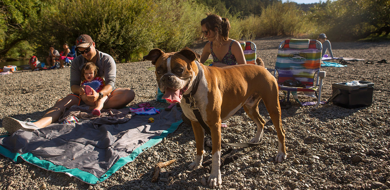 Tubing the Russian River: How to plan a float trip