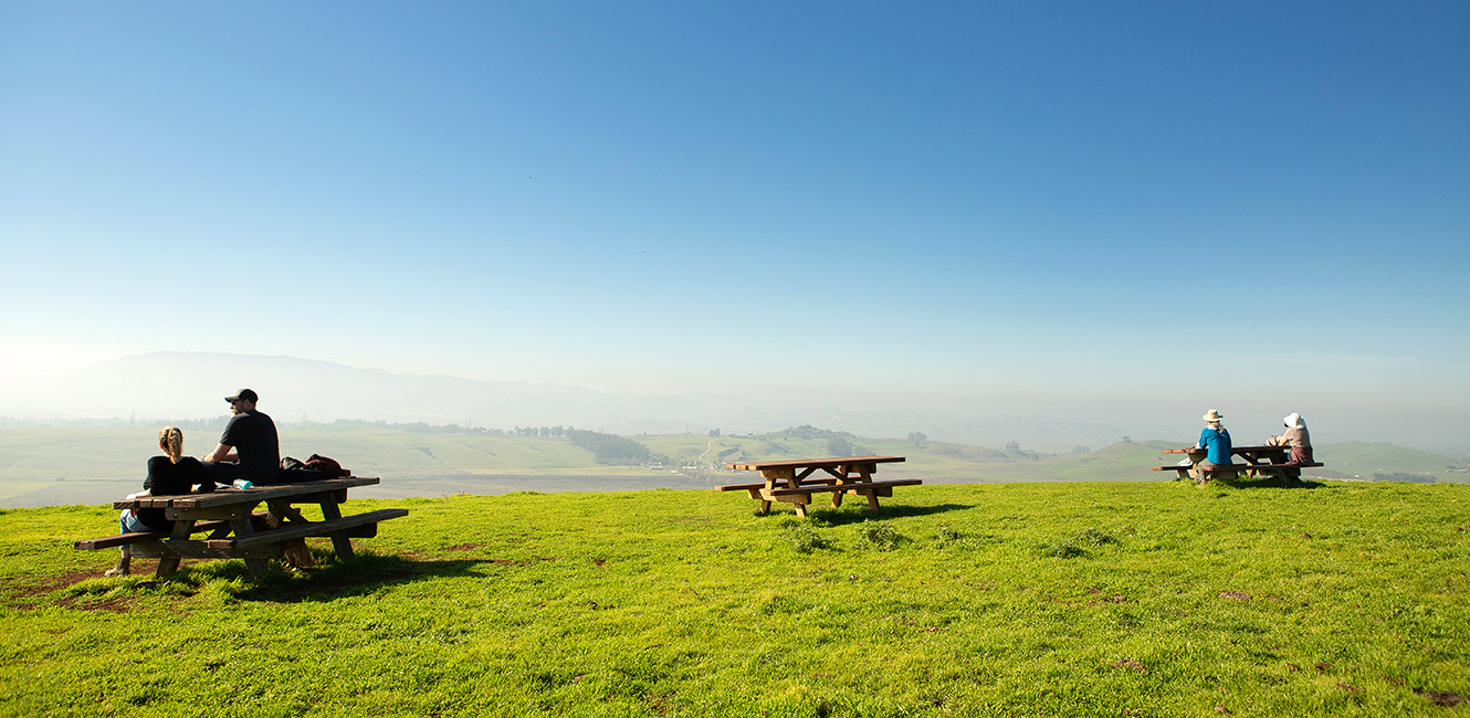 Picnic tables at Tolay Lake Regional Park