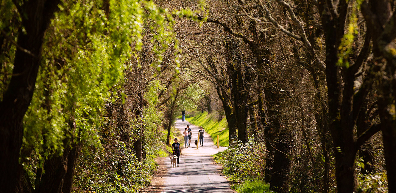 Walkers on the West County Regional Trail