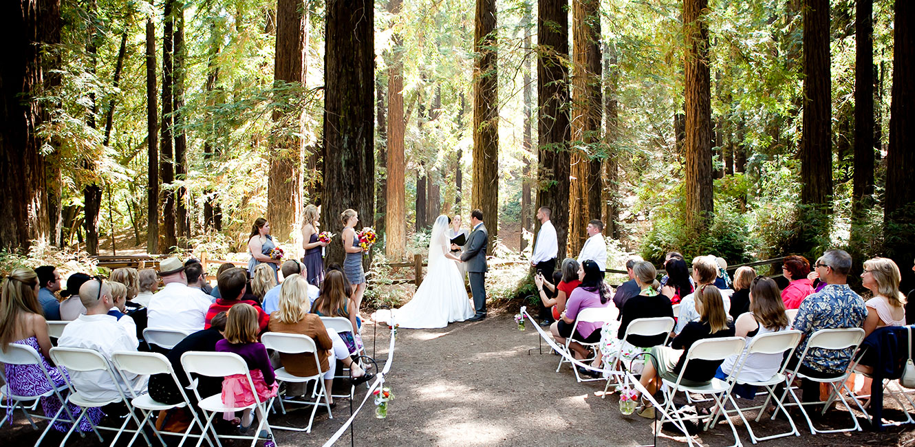 Wedding held in a Sonoma County Regional Park